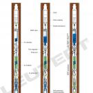 Schematic of One Phase™ Downhole Sampling with LEUTERT PVT Sampler